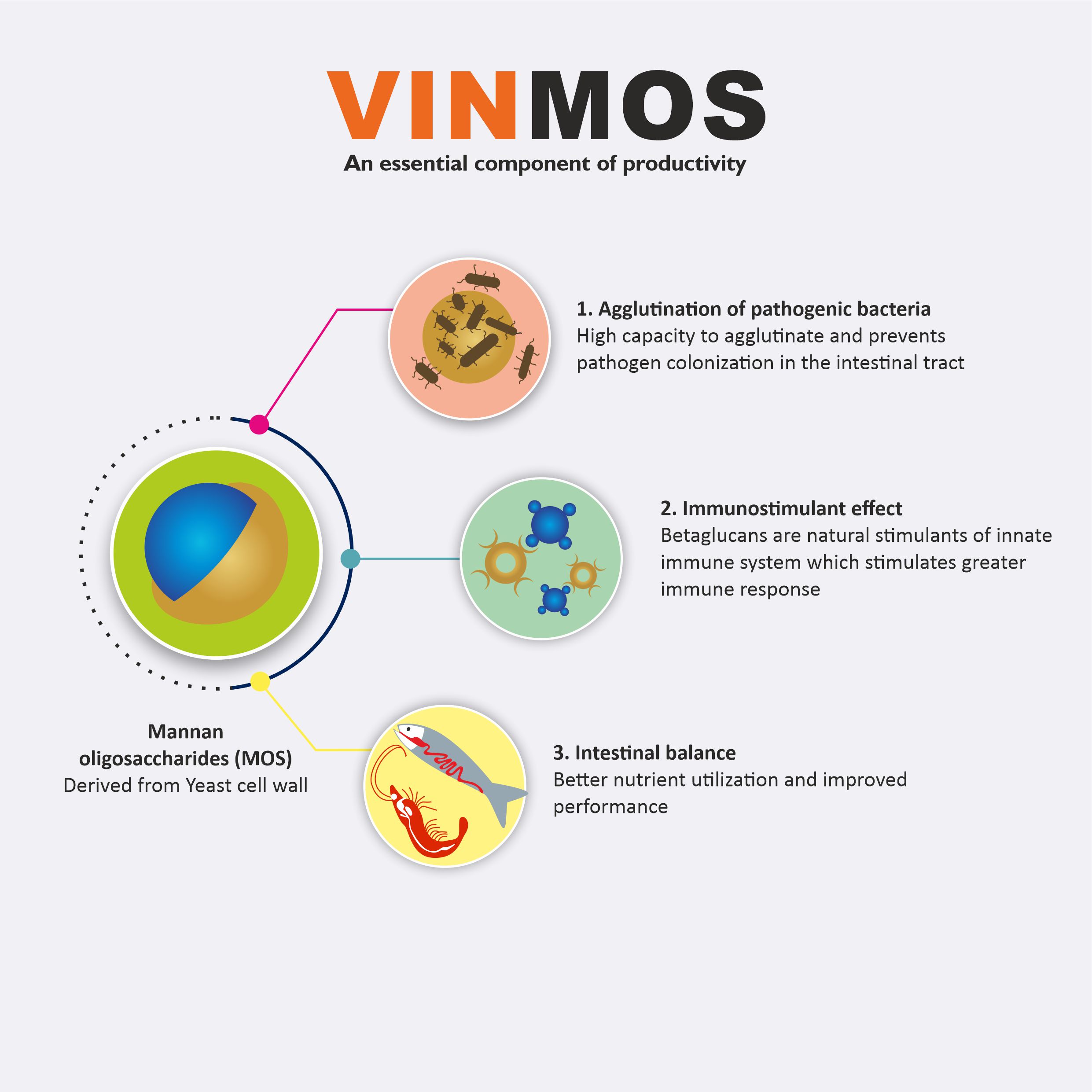 Aqua Feed Supplement - VinMos