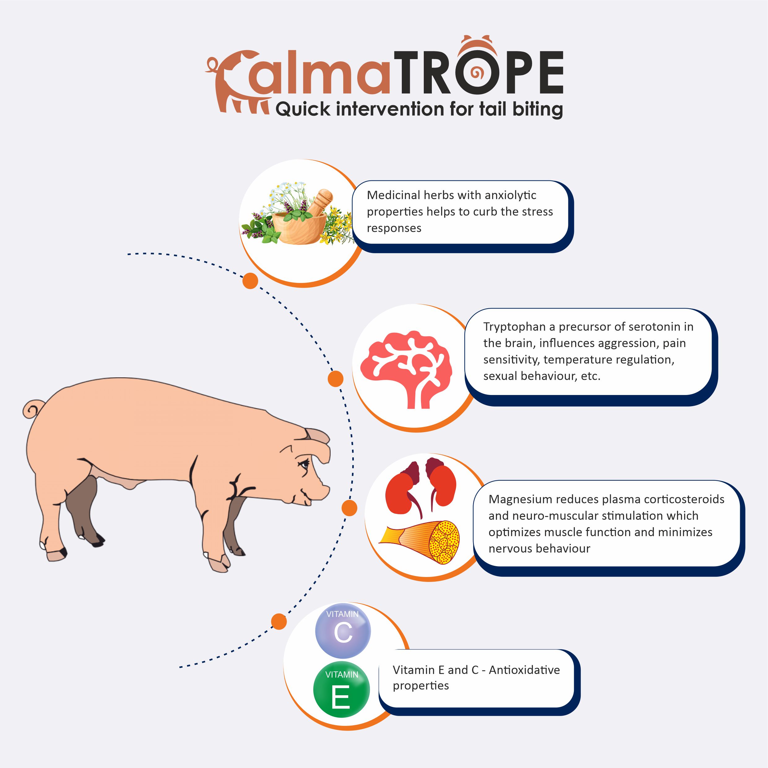 CALMATROPE - Mechanism of Action- MOA - It reduces tail-biting in pigs, solution for tail biting in Swine, pig tail biting , control tail biting in pigs, Anxiety in pigs, Swine farm management.