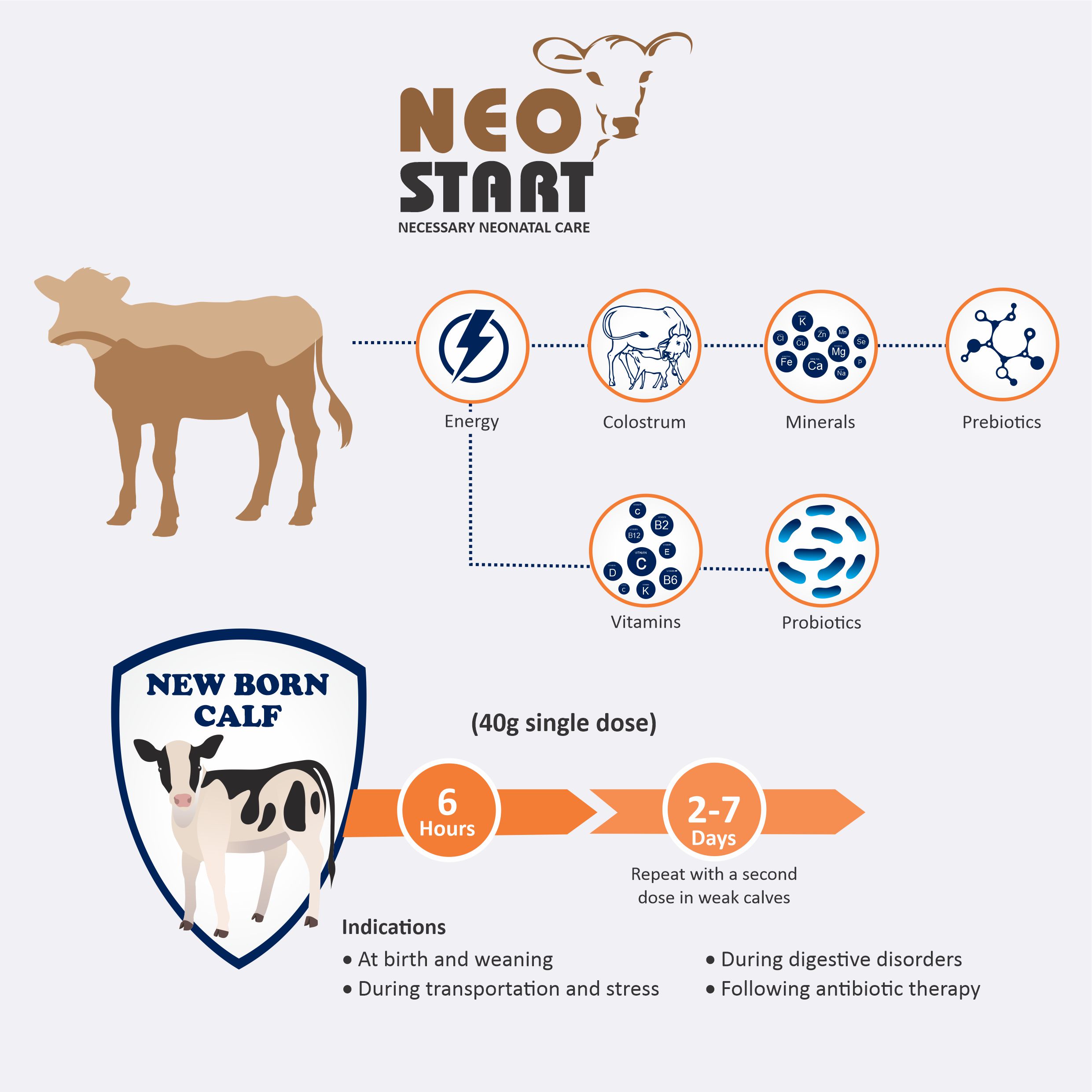 NEOSTART - MOA Improved Ruminal Health, Maintain the rumen osmolarity, Neutralizes the acid content in the rumen, Improving health of cattle, Improving rumen stabalization.
