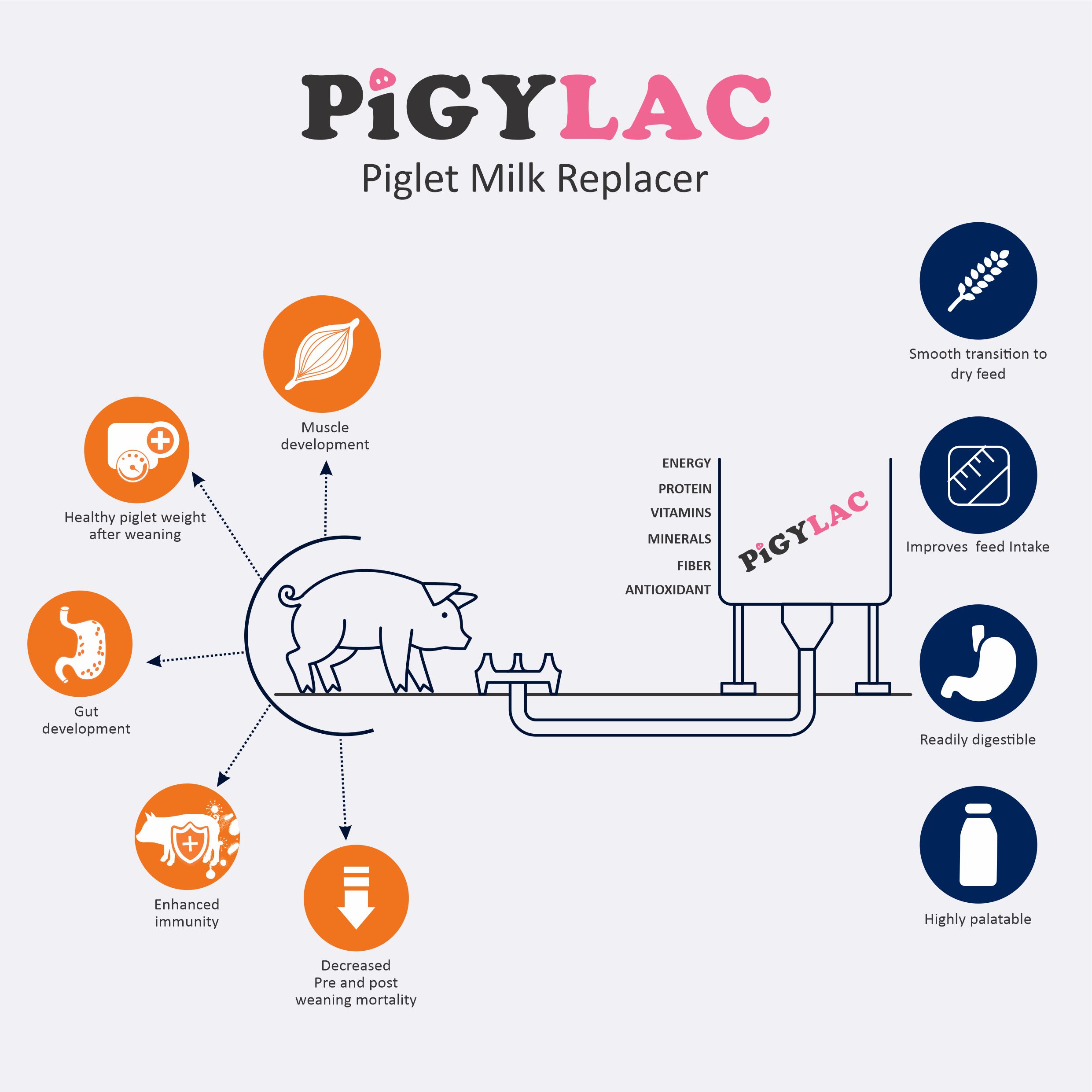 PIGYLAC - Mechanism of Action - MOA Piglet Milk Replacer, Pig milk replacer, Feeding piglets, Bottle feeding piglets, Bottle feeding newborn piglets, colostrum for piglets,