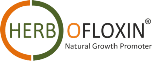 Herbofloxin Logo - Antibiotic growth promoter replacer in India