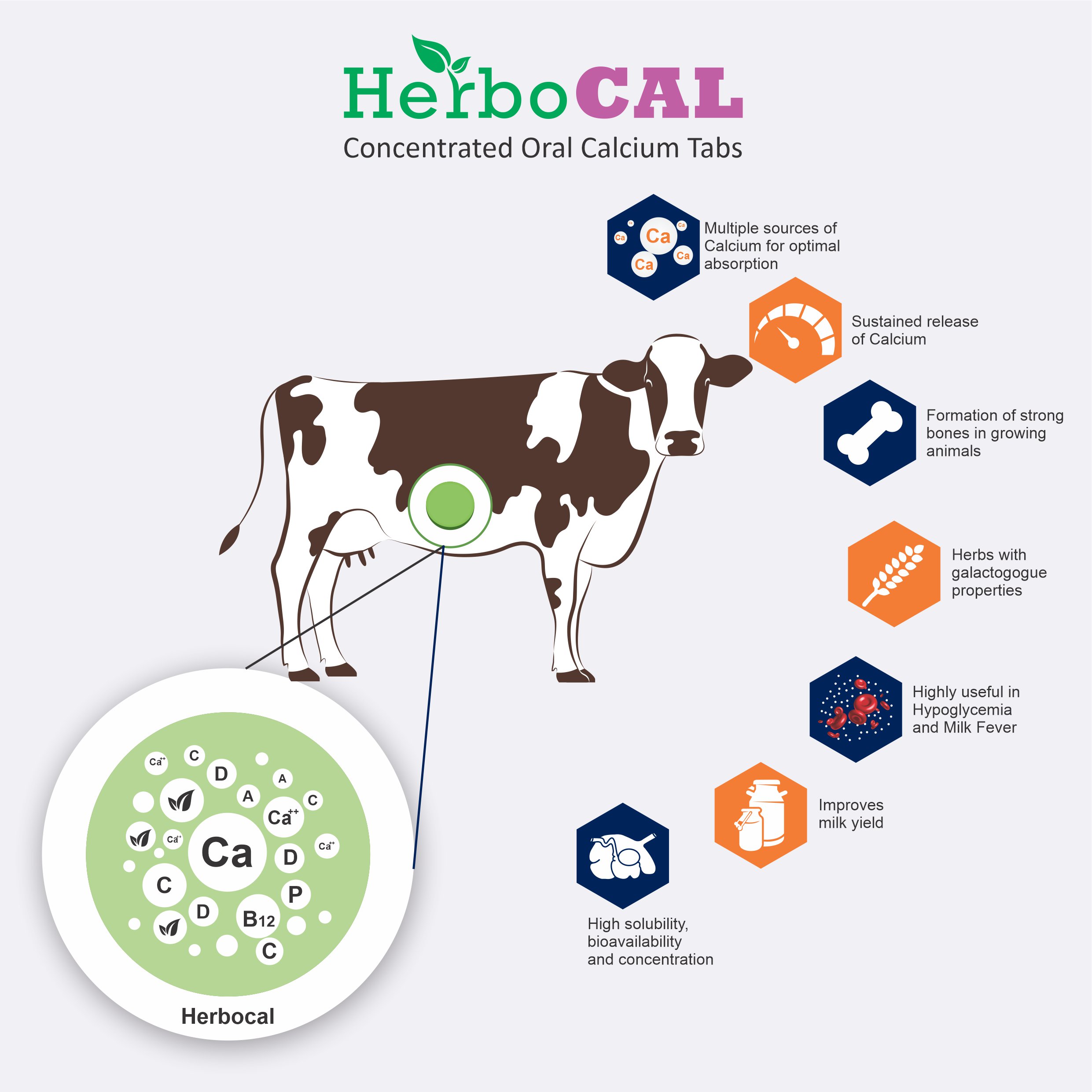 herbocal - MOA - Mechanism of action - Improved Ruminal Health, Maintain the rumen osmolarity, Neutralizes the acid content in the rumen, Improving health of cattle.