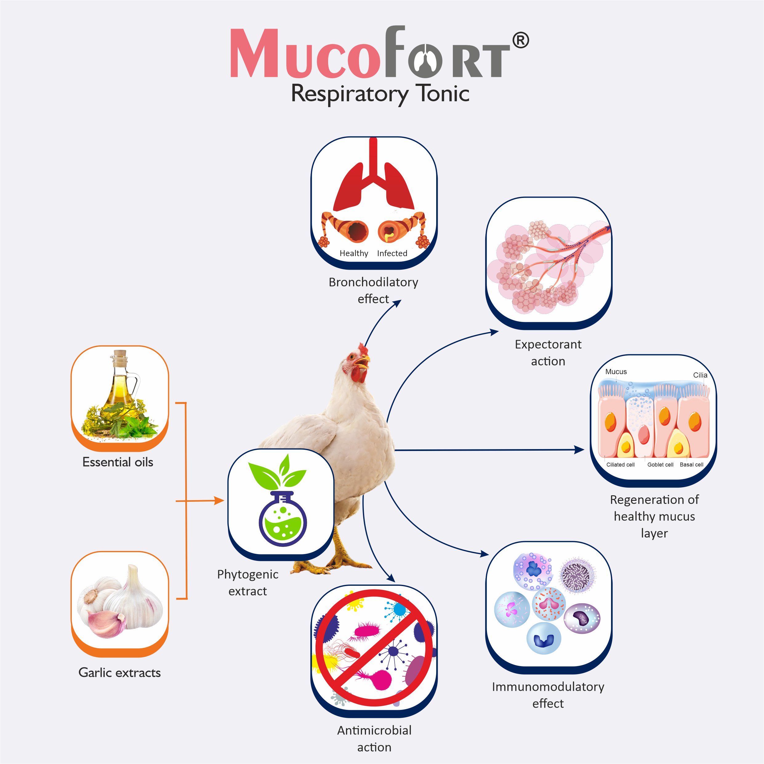 Mucofort-MOA-herbal-espiratory-tonic-for-poultry-rapid-recovery-from-respiratory-diseases-in-poultry