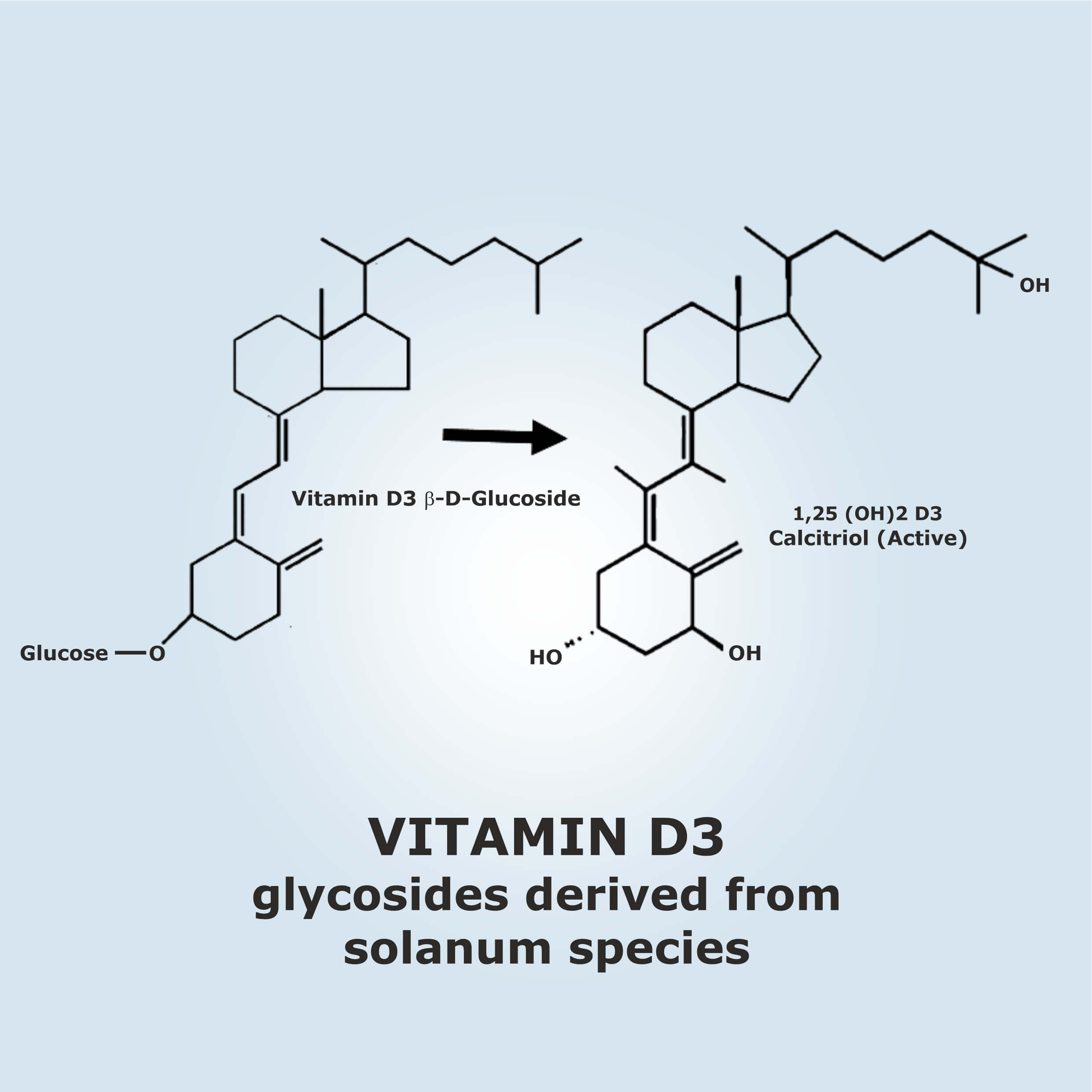 Dietary vitamin D3 supplements - Natural vitamin for poultry - vitamin D for layer birds - Vinayak Ingredients India - Herbal feed supplements for Chicken farming