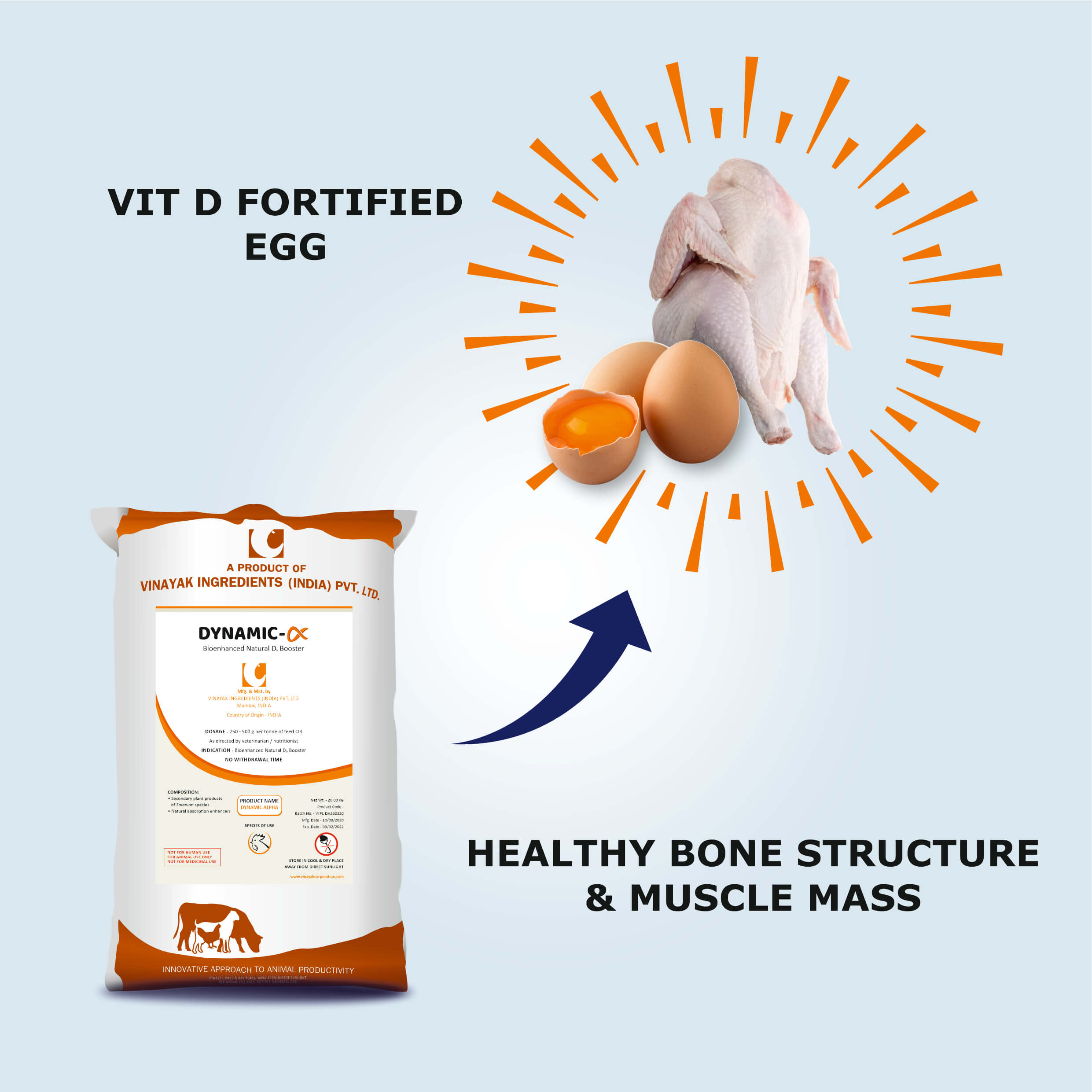 Organic vitamin d supplement in poultry - Natural vitamin for Layer - vitamin D for layer Chicken - Vinayak Ingredients India - Herbal feed supplements for Chicken farm