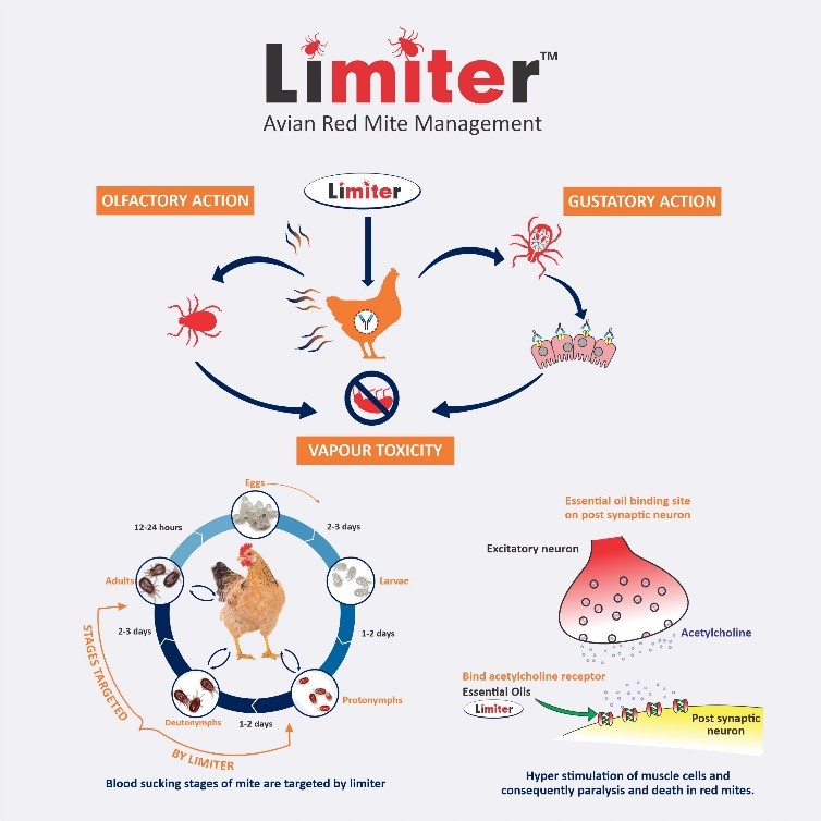 Limiter - Natural red mite management supplements-Solution to treat poultry red mites - VIIPL .gif