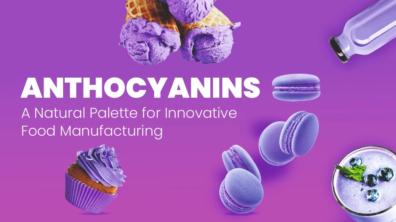 Anthocyanins, A Natural Palette for Innovative Food Manufacturing