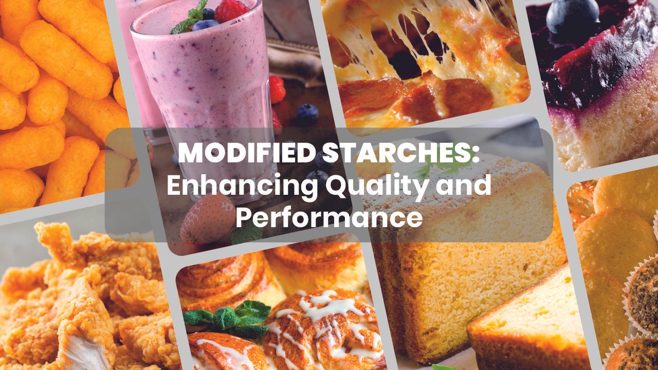 MODIFIED STARCHES: Enhancing Quality and Performance