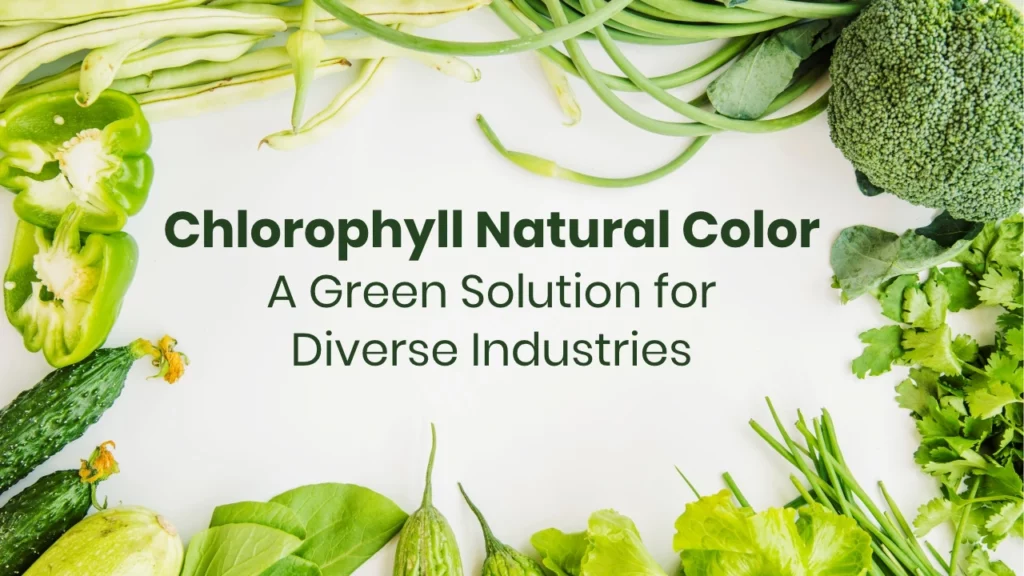 Chlorophyll Natural Color: A Green Solution for Diverse Industries