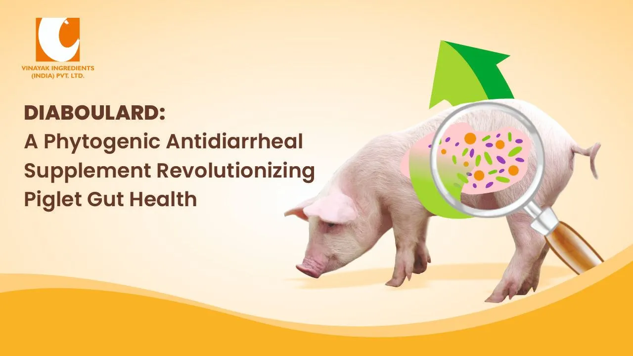 DIABOULARD: A Phytogenic Antidiarrheal Supplement Revolutionizing Piglet Gut Health