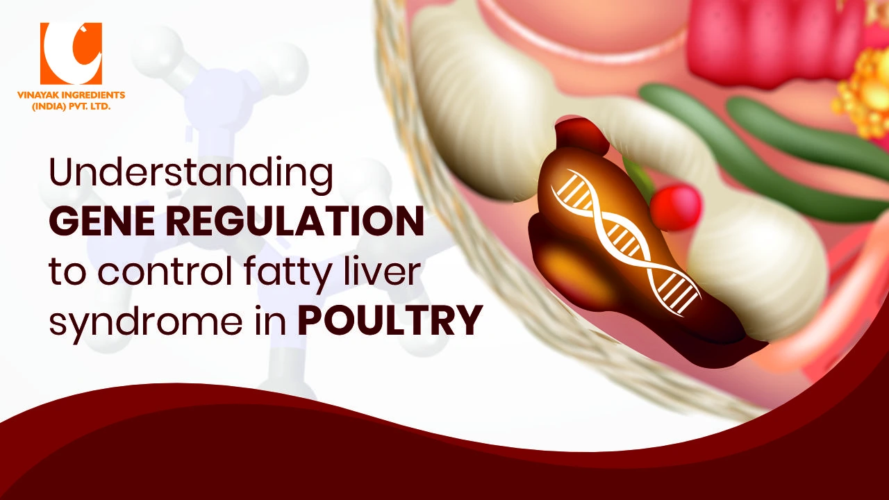 Understanding the Gene Regulation to Control Fatty Liver Syndrome in Poultry