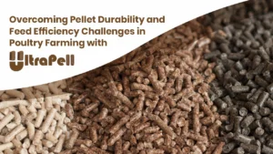 Overcoming Pellet Durability and Feed Efficiency Challenges in Poultry Farming with ULTRAPELL