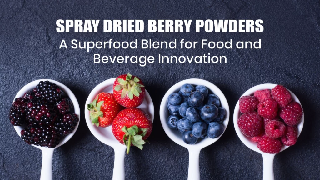Spray Dried Berry Powders: A Superfood Blend for Food and Beverage Innovation