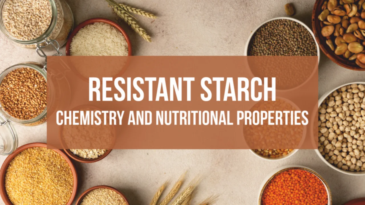 Infographic showing the 5 types of resistant starch (RS1 to RS5) and their health benefits by Vinayak Ingredients.