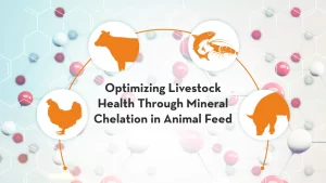 Importance of Mineral Chelation in Animal Feed