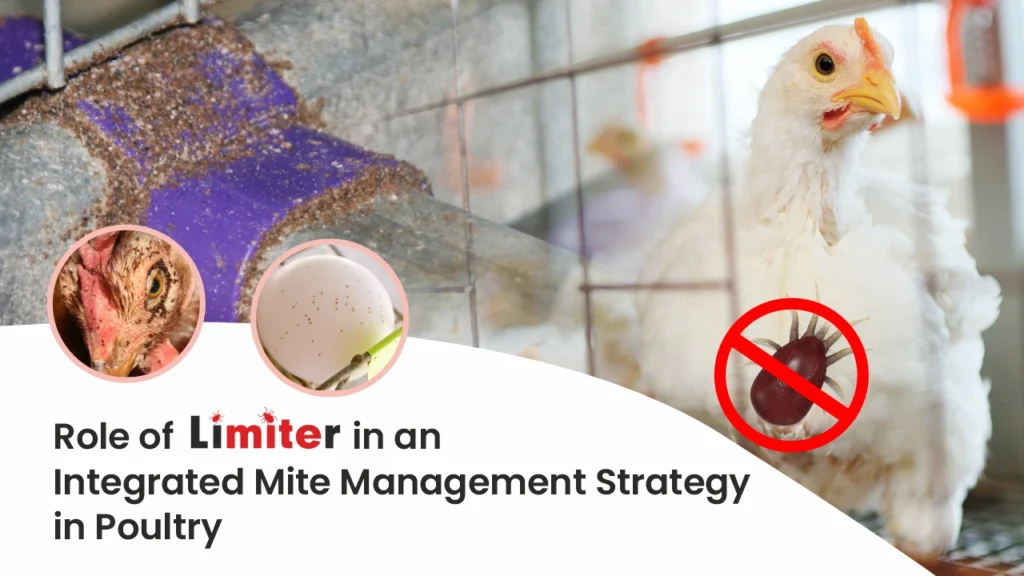 Role of Limiter in an Integrated Mite Management Strategy in Poultry