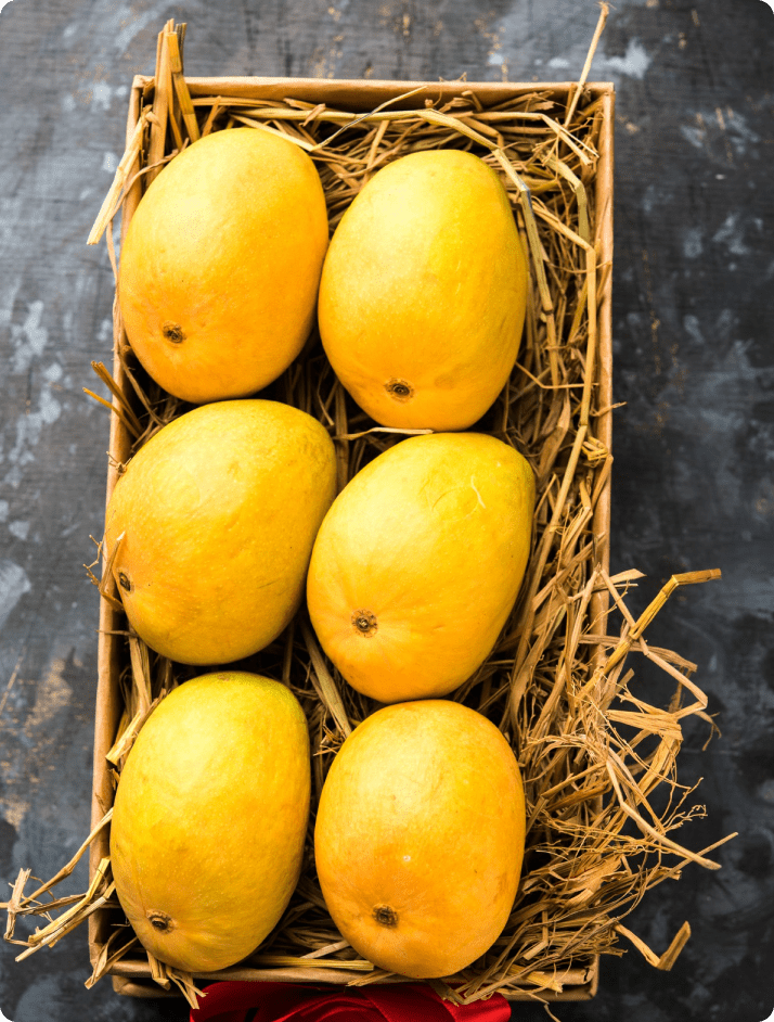 ECOFLAV RAW MANGO POWDER