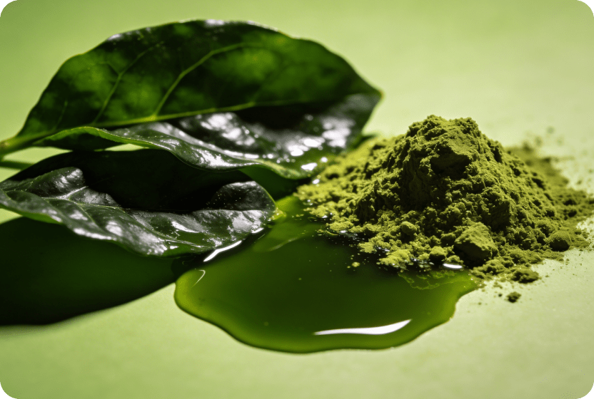 CHLOROPHYLL & CHLOROPHYLLIN