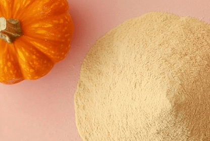 ECOFLAV PUMPKIN POWDER