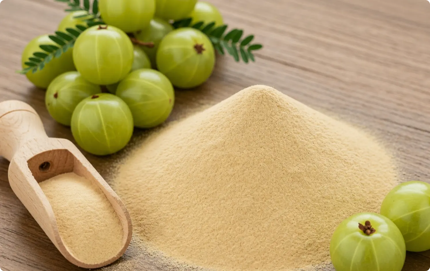 ECOFLAV AMLA POWDER