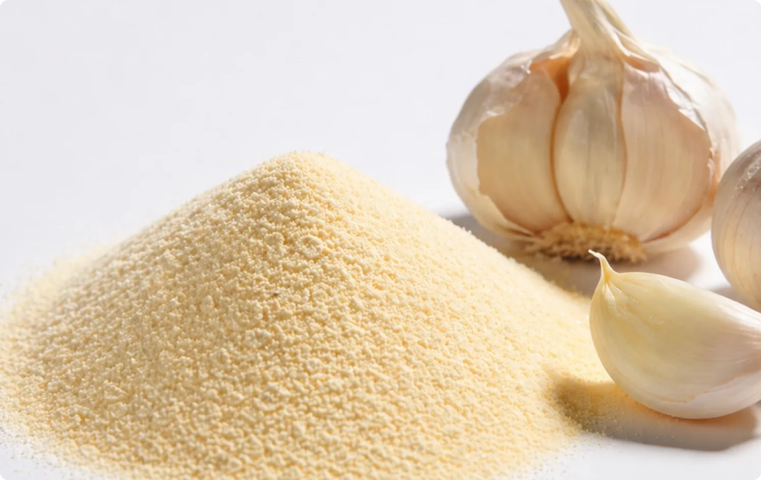 ECOFLAV GARLIC POWDER