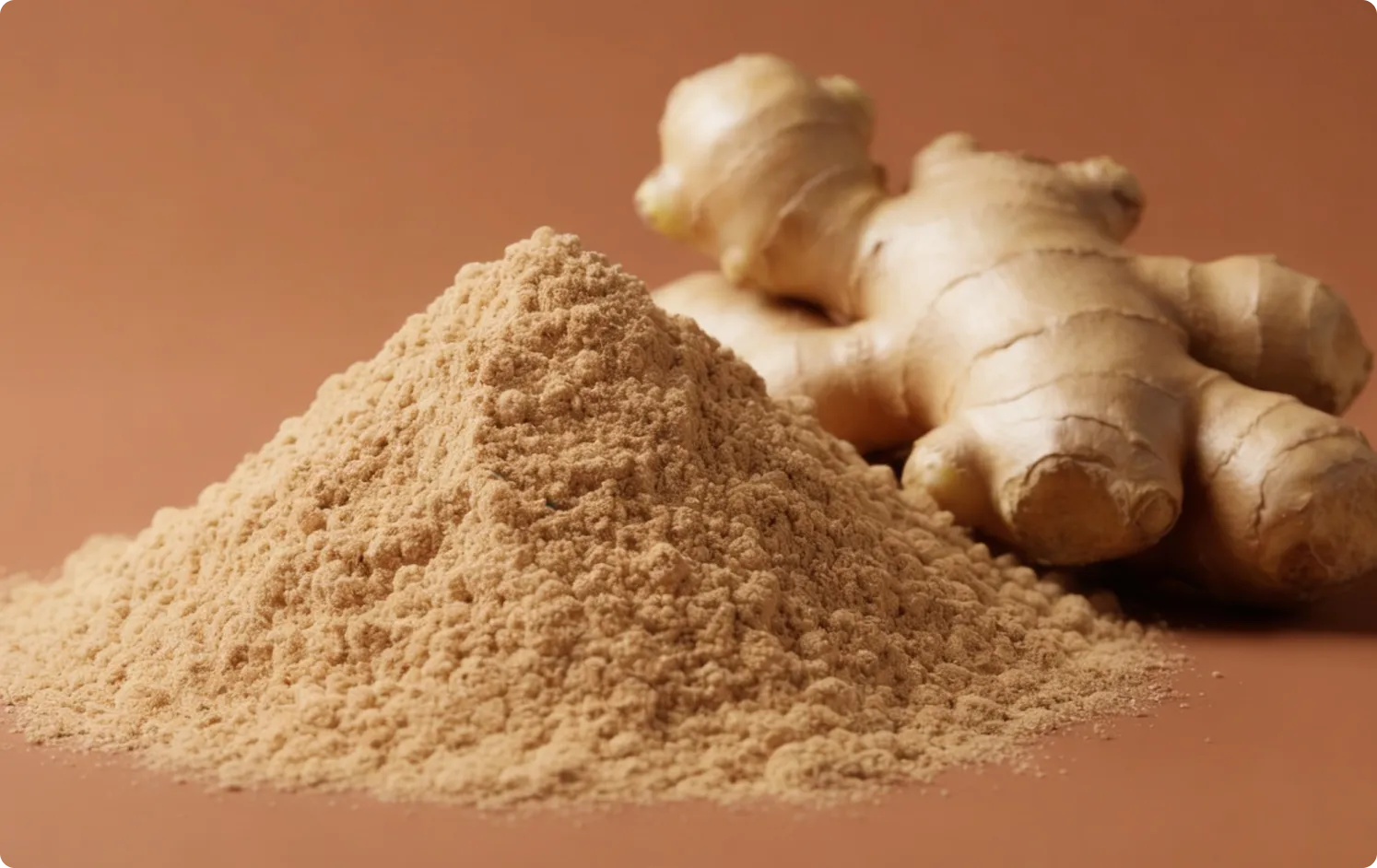 ECOFLAV GINGER POWDER