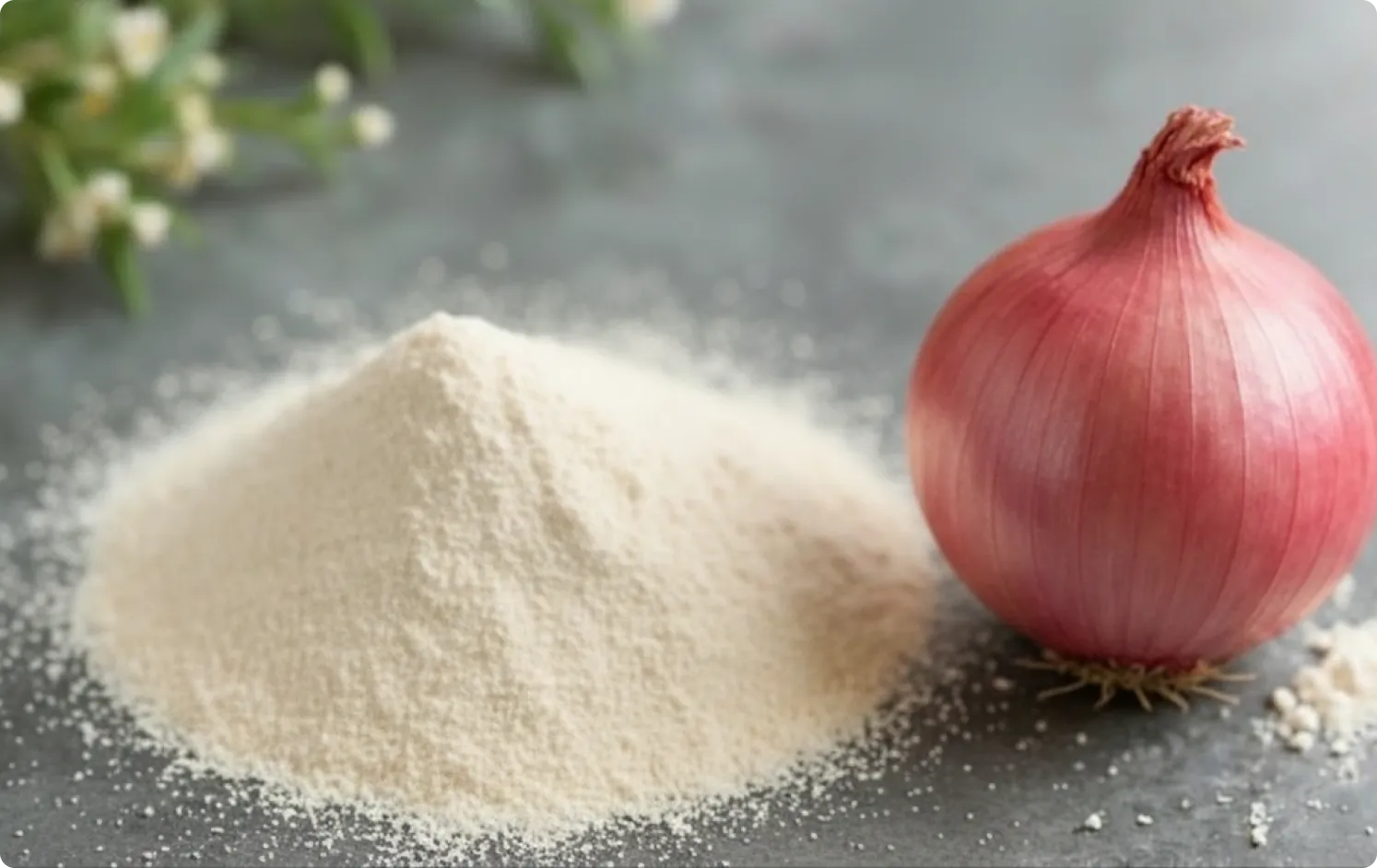 ECOFLAV ONION POWDER
