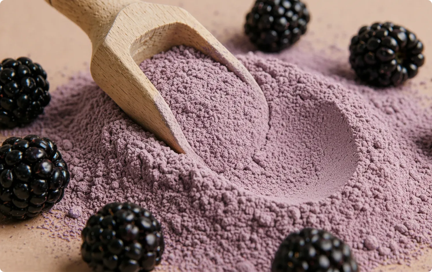 ECOFLAV BLACKBERRY POWDER