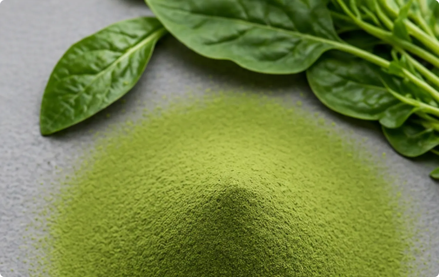 ECOFLAV SPINACH POWDER