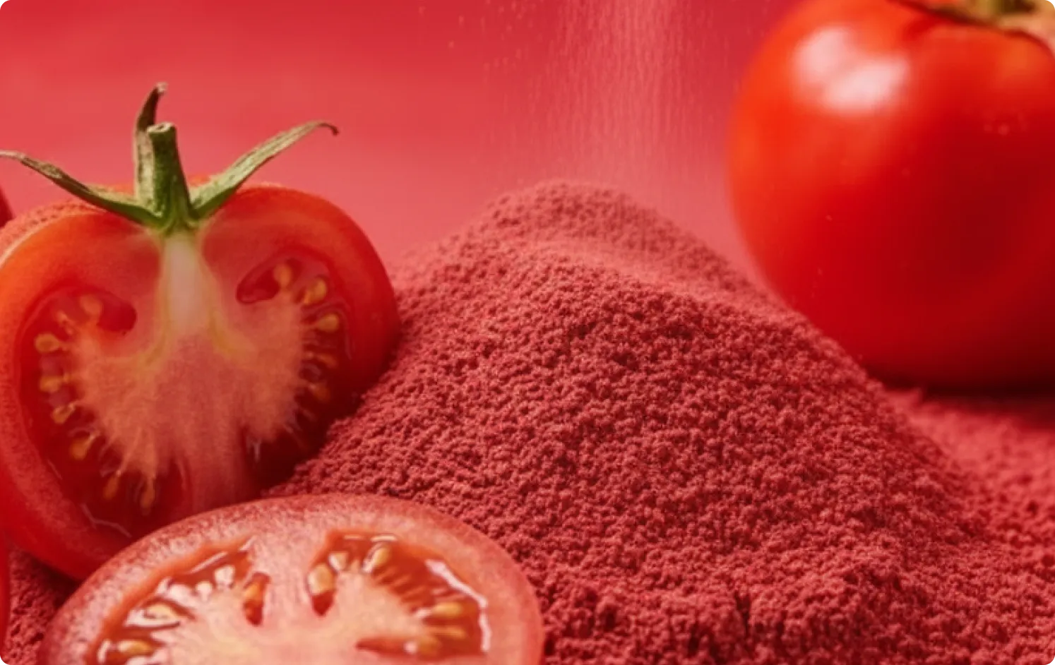 ECOFLAV TOMATO POWDER