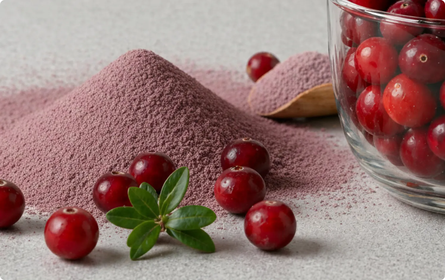 ECOFLAV CRANBERRY POWDER