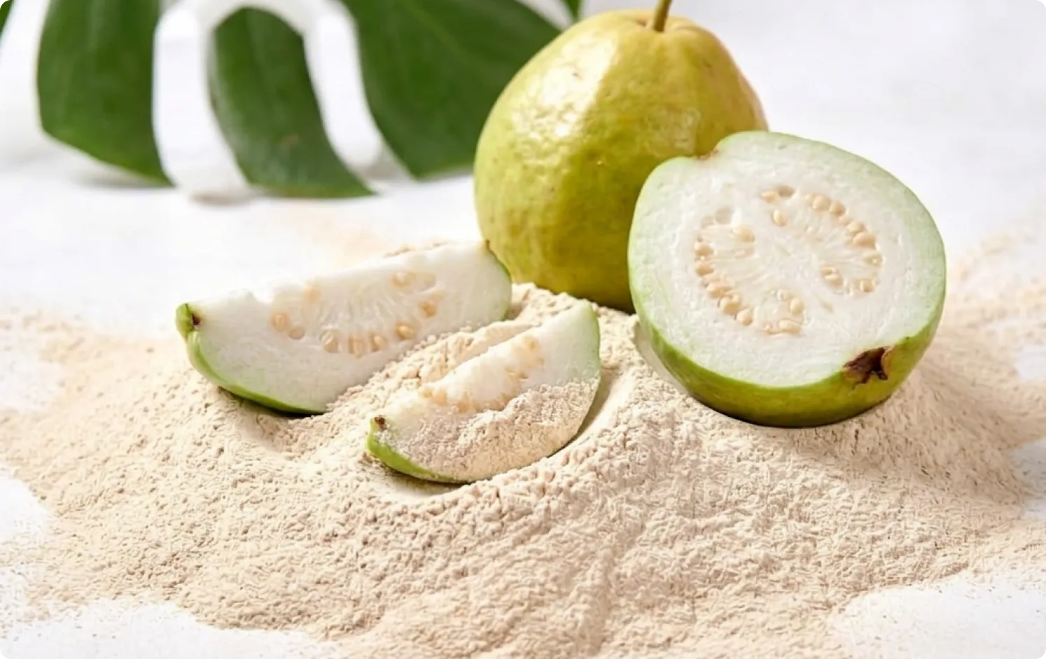 ECOFLAV GUAVA POWDER