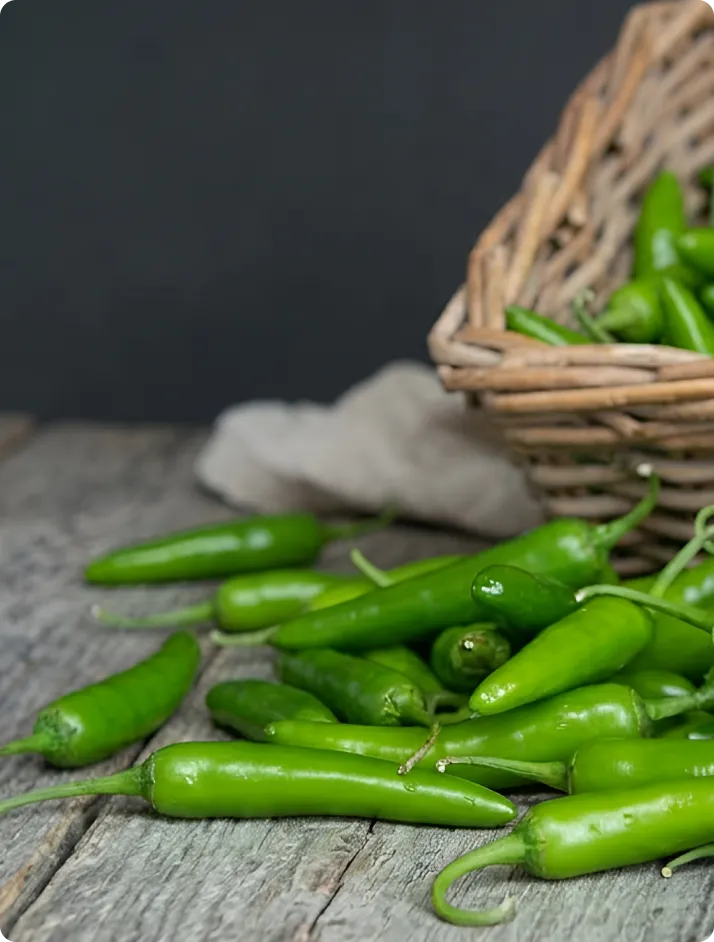 ECOFLAV GREEN CHILLI POWDER