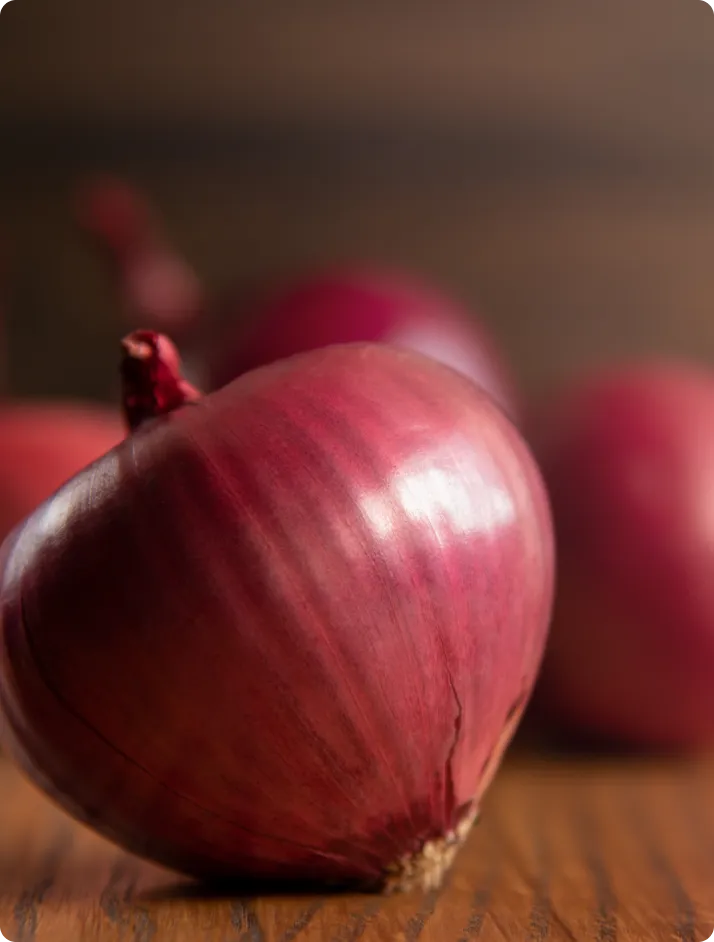 ECOFLAV ONION POWDER