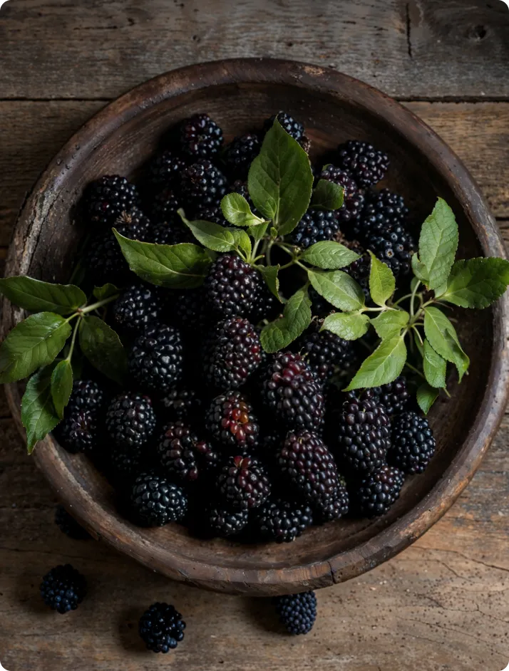 ECOFLAV BLACKBERRY POWDER