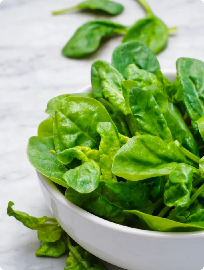 ECOFLAV SPINACH POWDER