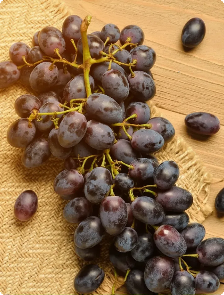 GRAPE SKIN