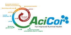 ACICOR