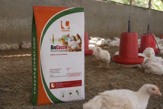 POULTRY