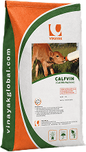 CALFVIN