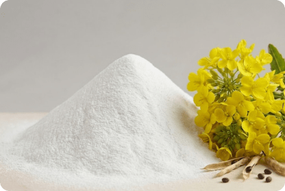 CANOLA FAT POWDER