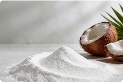 COCONUT FAT POWDER