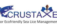 CRUSTAXE