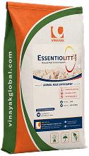 ESSENTIOLITT I