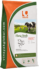 FLAVO FRESH