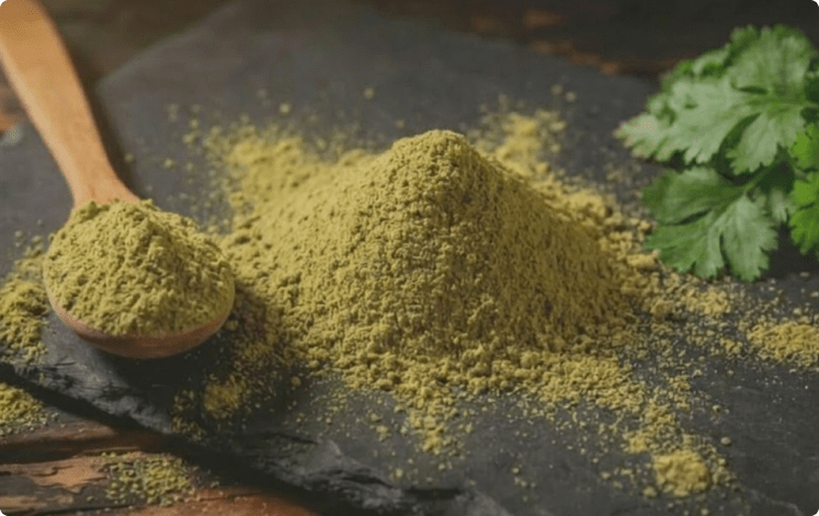 ECOFLAV CORIANDER POWDER