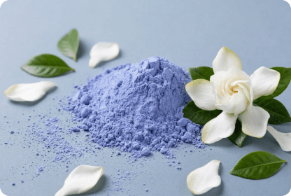 GARDENIA BLUE