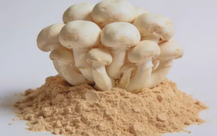 ECOFLAV MUSHROOM POWDER