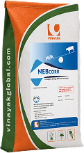 NEBCORR