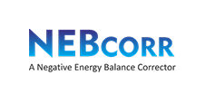 NEBCORR